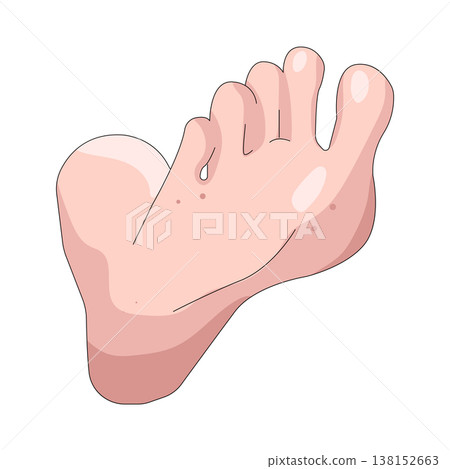 Illustration of human foot Illustration of human foot 138152663
