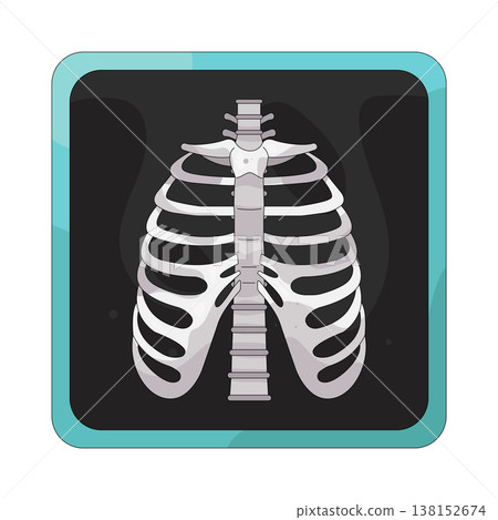 Illustration of human rib Illustration of human rib 138152674