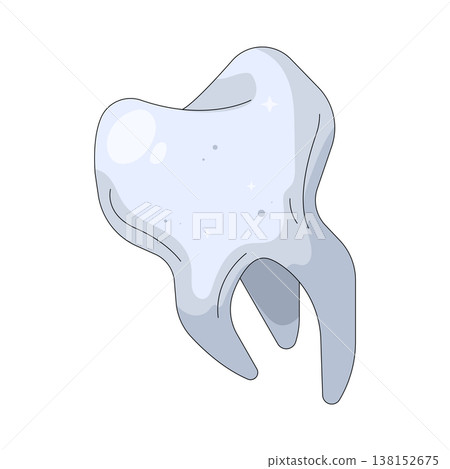 Illustration of human tooth Illustration of human tooth 138152675