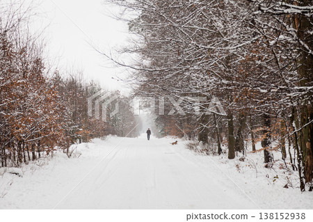Snow alley road in winter forest. Snow alley road in winter forest. 138152938