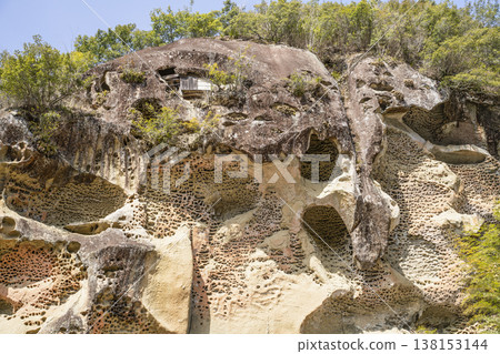 Takaike's Insect-Eaten Rock (a nationally designated natural monument) 138153144