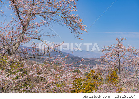 (Yamanashi Prefecture) A view of the distant Yatsugatake mountain range from Daihoshi Park, where the cherry blossoms are in full bloom. (Yamanashi Prefecture) A view of the distant Yatsugatake mountain range from Daihoshi Park, where the cherry blossoms are in full bloom. 138153164