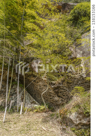 Takaike's Insect-Eaten Rock (a nationally designated natural monument) 138153166
