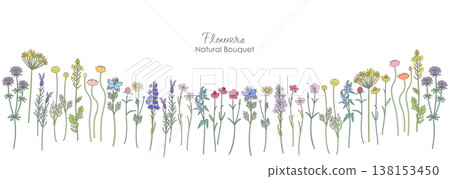 各種花卉植物的自然插圖 138153450