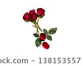 red rose flowers arrangement flat lay postcard style  138153557