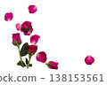 red, pink flowers rose arrangement flat lay postcard style  138153561