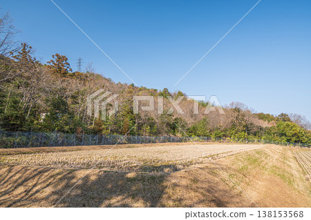 Terraced rice fields in the Kosei region, Kitakomatsu, Otsu City, Shiga Prefecture 138153568
