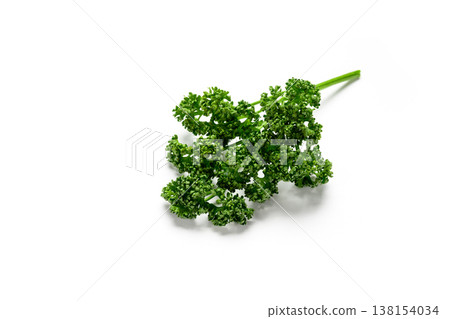 A white background image of vibrant green parsley. 138154034