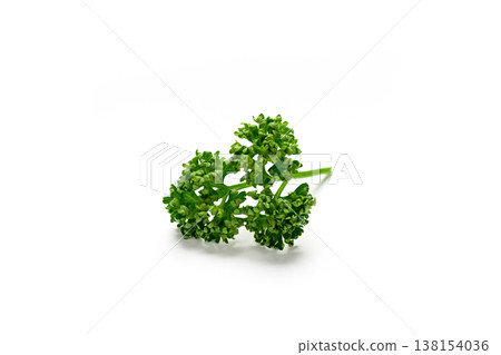 一張白色背景上鮮豔翠綠的歐芹圖片。 138154036