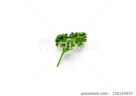 一張白色背景上鮮豔翠綠的歐芹圖片。 138154037