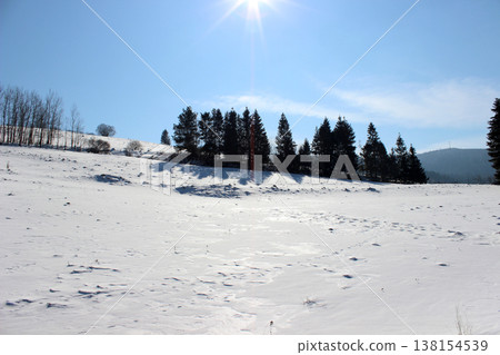Winter landscape with snowy fir trees Winter landscape with snowy fir trees 138154539