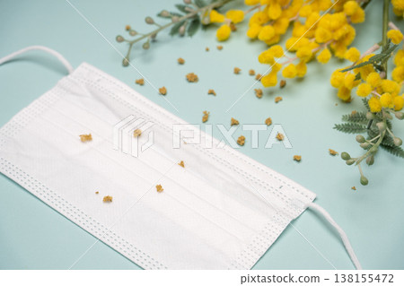 含羞草枝條和麵具的靜物照片。 138155472