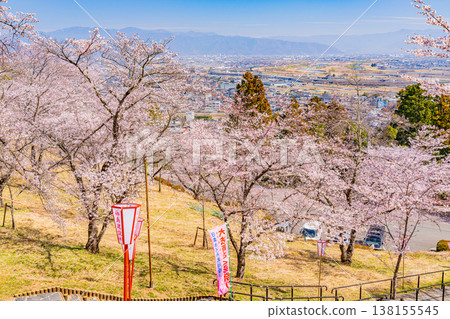 (Yamanashi Prefecture) Daihoshi Park: Cherry blossoms in full bloom; Cherry Blossom Festival (Yamanashi Prefecture) Daihoshi Park: Cherry blossoms in full bloom; Cherry Blossom Festival 138155545
