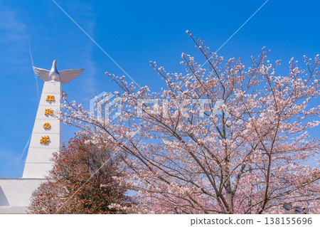 (山梨縣)大星公園,和平塔:櫻花盛開 (山梨縣)大星公園,和平塔:櫻花盛開 138155696
