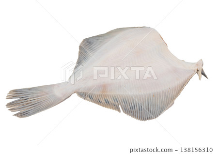 Fresh whole flounder fish isolated on white background raw flatfish seafood ingredient used in cuisine. Fresh whole flounder fish isolated on white background raw flatfish seafood ingredient used in cuisine. 138156310