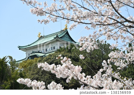 名古屋城堡和櫻花 名古屋城堡和櫻花 138156939