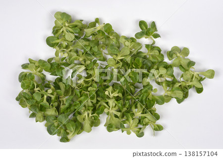 Fresh corn salad leaves on white background Fresh corn salad leaves on white background 138157104