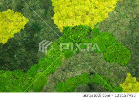 Green lichens plants background 138157453