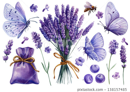 Lavender butterfly watercolor clipart set with bouquet sachet flowers bee and berries isolated on light background 138157485