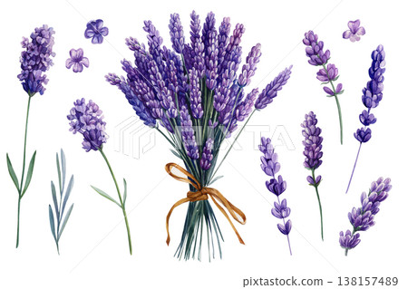 Lavender bouquet watercolor clipart set with purple flowers sprigs and petals isolated on light background Lavender bouquet watercolor clipart set with purple flowers sprigs and petals isolated on light background 138157489