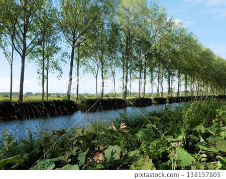 A canal and tree-lined avenue connecting Bruges and Damme (Belgium) A canal and tree-lined avenue connecting Bruges and Damme (Belgium) 138157805