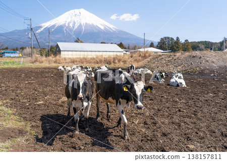 富士晨霧高地 富士晨霧高地 138157811
