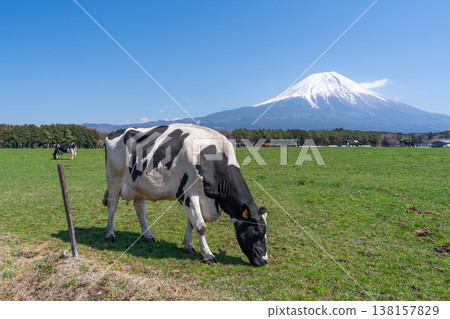 富士晨霧高地 富士晨霧高地 138157829