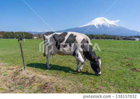 富士晨霧高地 富士晨霧高地 138157832