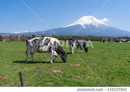 富士晨霧高地 富士晨霧高地 138157842