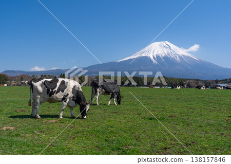 富士晨霧高地 富士晨霧高地 138157846