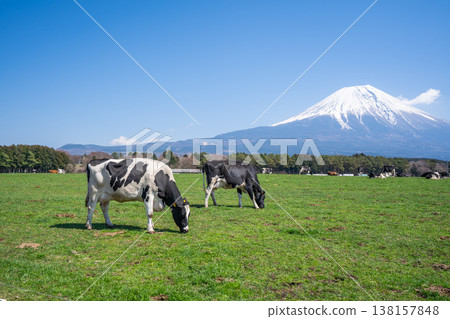 富士晨霧高地 富士晨霧高地 138157848