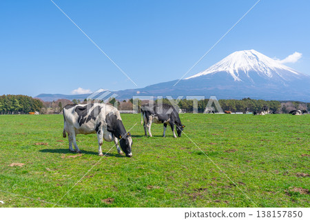 富士晨霧高地 富士晨霧高地 138157850
