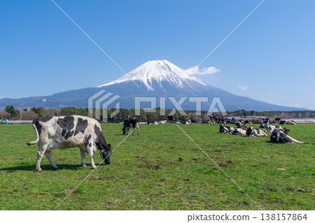 富士晨霧高地 富士晨霧高地 138157864