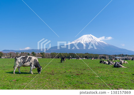 富士晨霧高地 富士晨霧高地 138157869