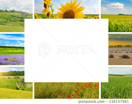 Scenic nature collage of diverse agricultural landscapes and flowering fields with sunflowers, lavender, wheat, and poppies under a bright blue sky, beautiful countryside collection. 138157981