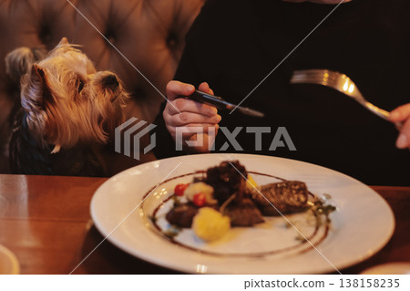 Small dog Yorkshire terrier attentively watching its owner eat gourmet steak at a cozy restaurant table. Pet-friendly dining. Human and pet bond. Small dog Yorkshire terrier attentively watching its owner eat gourmet steak at a cozy restaurant table. Pet-friendly dining. Human and pet bond. 138158235