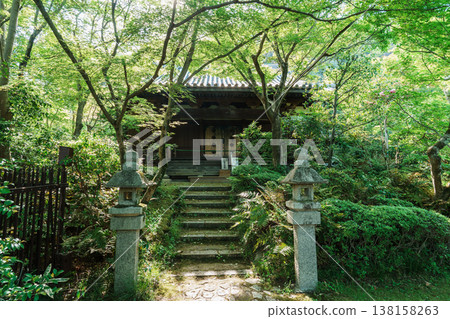 Fresh greenery at Zenhoji Temple in Kyoto 138158263