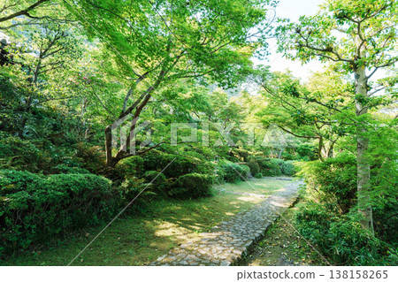 Fresh greenery at Zenhoji Temple in Kyoto 138158265