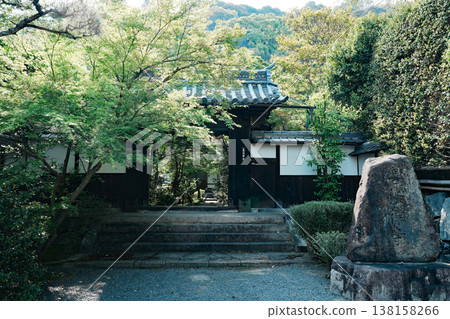 Fresh greenery at Zenhoji Temple in Kyoto 138158266