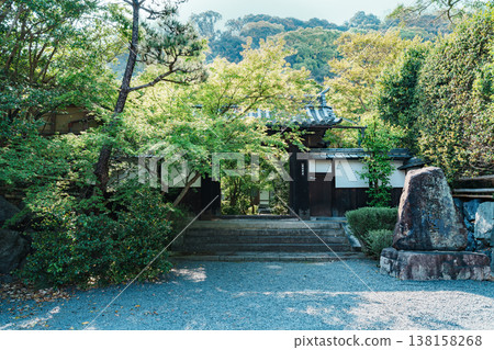 Fresh greenery at Zenhoji Temple in Kyoto 138158268