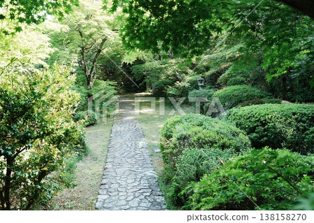 Fresh greenery at Zenhoji Temple in Kyoto 138158270