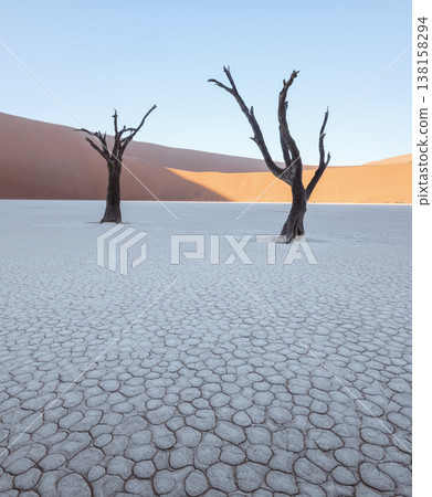 Silhouettes of dead Camelthorn trees at sunrise in Deadvlei Silhouettes of dead Camelthorn trees at sunrise in Deadvlei 138158294