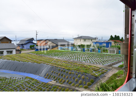 北海道南部伊沙裡比鐵道泉澤站至木古內站沿途風景 138158323