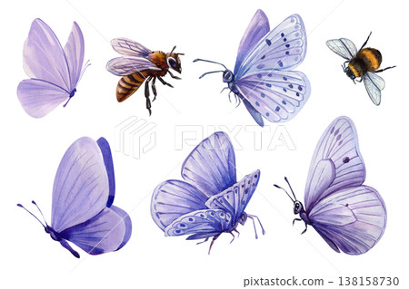 Butterfly and bee watercolor clipart set with purple blue wings isolated pollinator insect collection Butterfly and bee watercolor clipart set with purple blue wings isolated pollinator insect collection 138158730