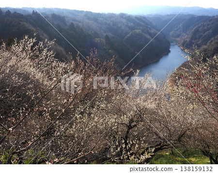 Tsukigase Bairin Tsukigase Bairin 138159132