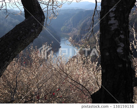 Tsukigase Bairin Tsukigase Bairin 138159138