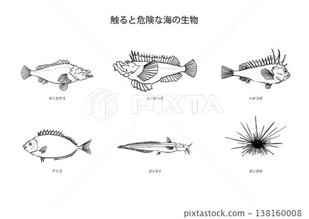 危險海洋生物套裝：魚類與海膽、毒魚、向量圖、毛筆線條藝術插圖 138160008