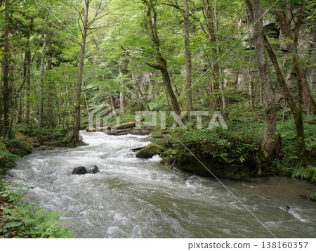 The Oirase Gorge and the clear stream in the lush forest in early autumn (Towada City, Aomori Prefecture) The Oirase Gorge and the clear stream in the lush forest in early autumn (Towada City, Aomori Prefecture) 138160357