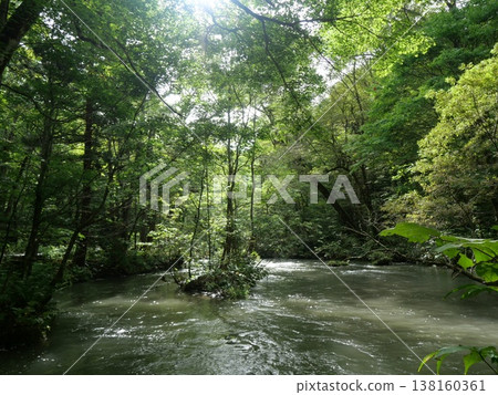 The Oirase Gorge and the clear stream in the lush forest in early autumn (Towada City, Aomori Prefecture) 138160361
