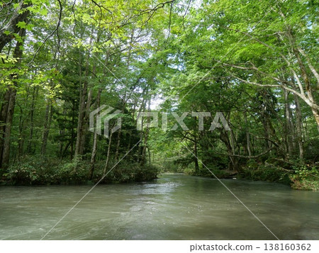 The Oirase Gorge and the clear stream in the lush forest in early autumn (Towada City, Aomori Prefecture) 138160362
